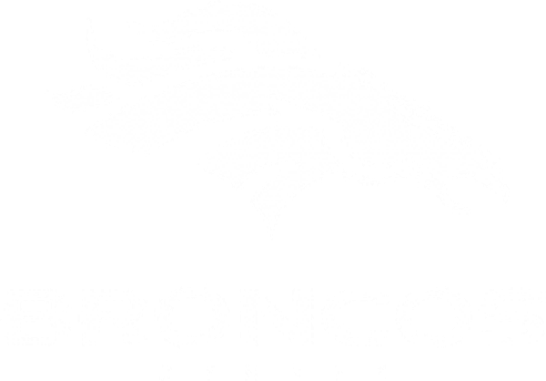 Broncos