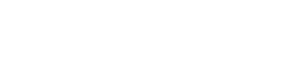 Perplexity